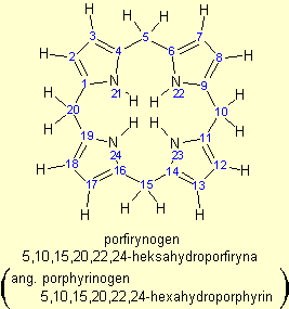 5,10,15,20,22,24-heksahydroporfiryna