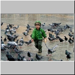 Boy and birds.jpg